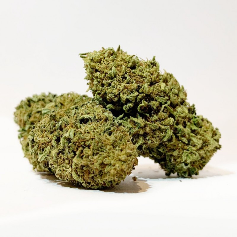 La Cannatonic CBD est une variété de fleurs de chanvre reconnue pour ses effets apaisants et son profil aromatique équilibré.